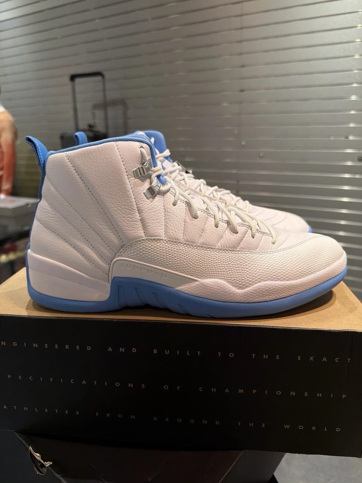 Air Jordan 12 Retro Melo