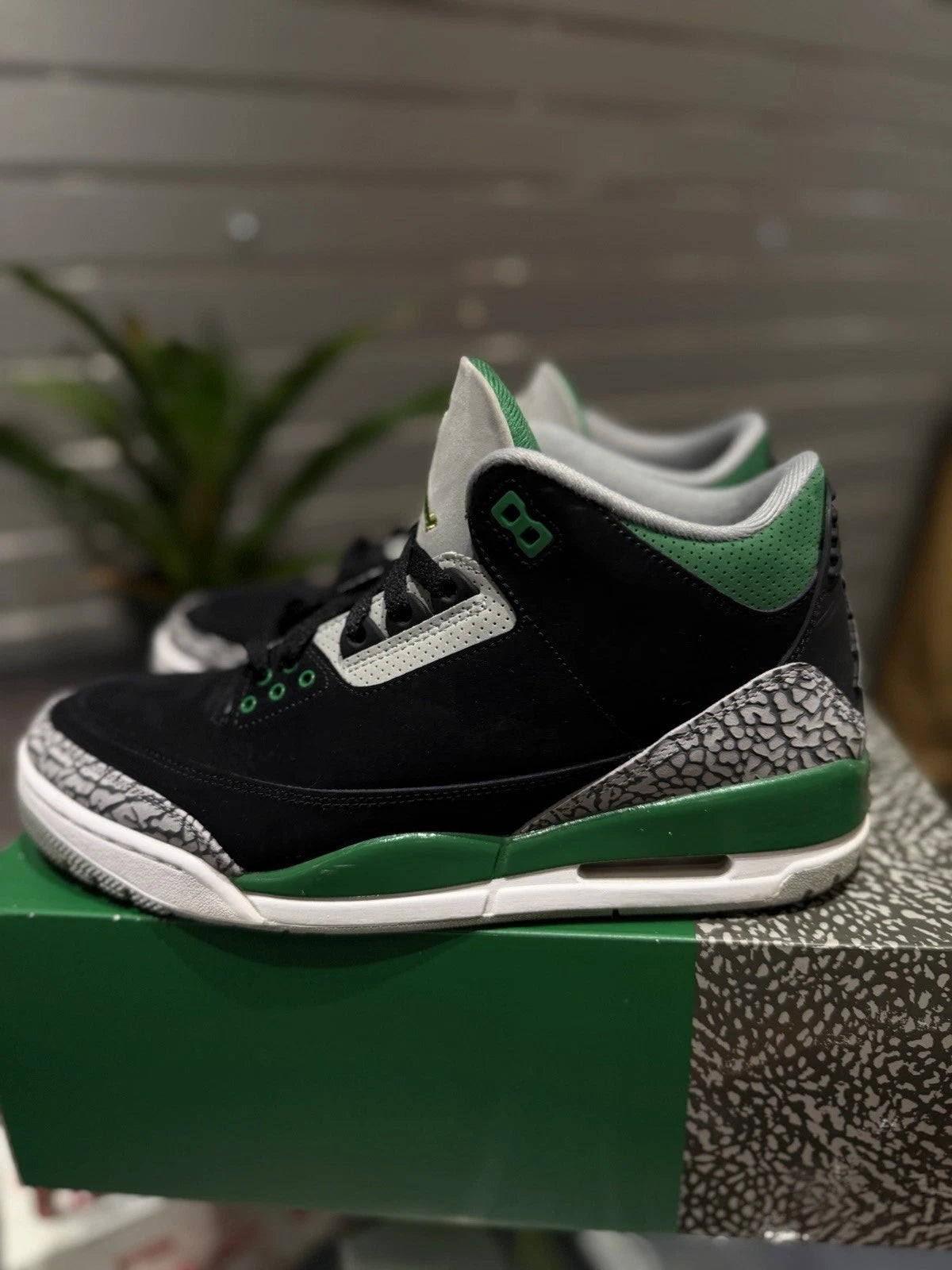 Air Jordan 3 'Pine Green'