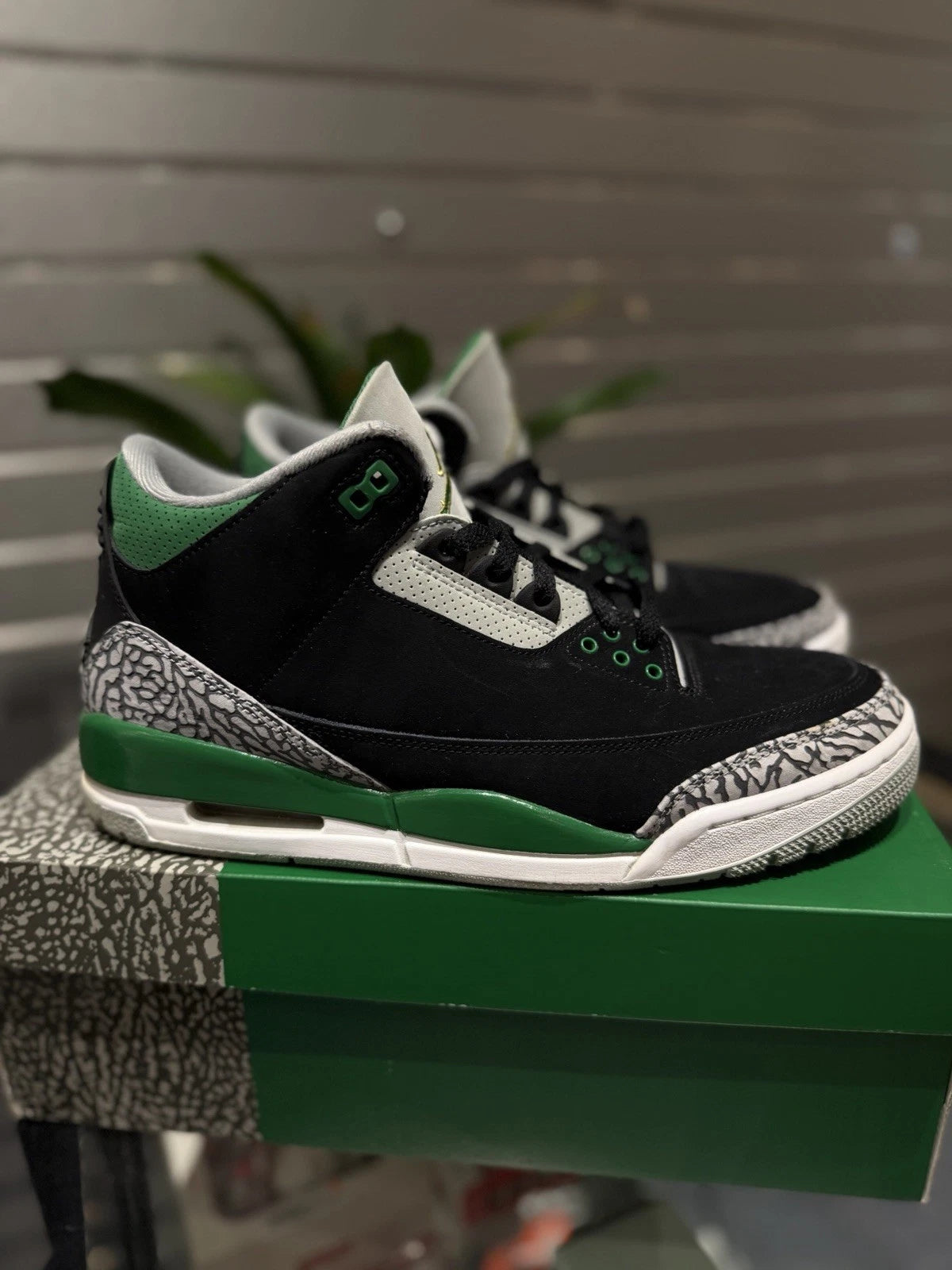 Air Jordan 3 'Pine Green'