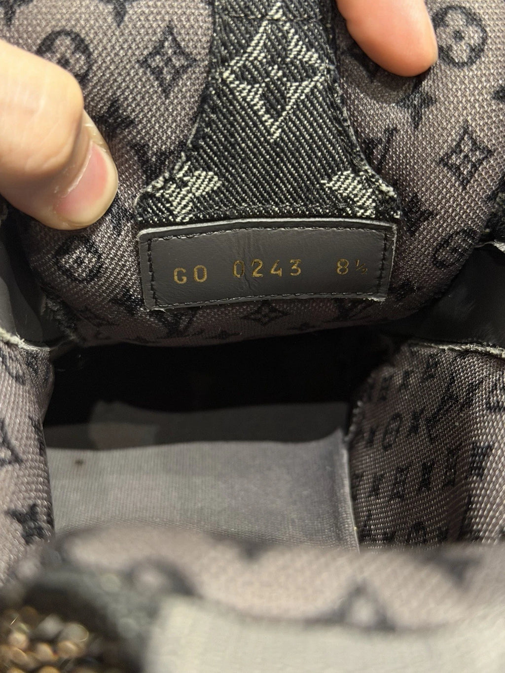 Louis Vuitton Skate Trainer Black